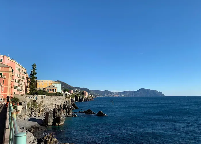 House Blu Capolungo By World